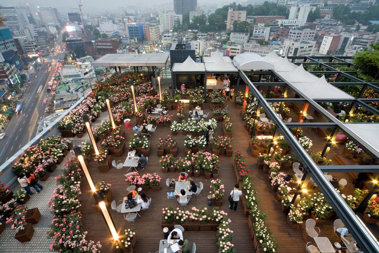 Sky Rose Garden, Tempat Paling Romantis di Korea Selatan – Ayo