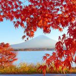 Paket Open Trip Tour Jepang Musim Autumn/ Gugur November 2022