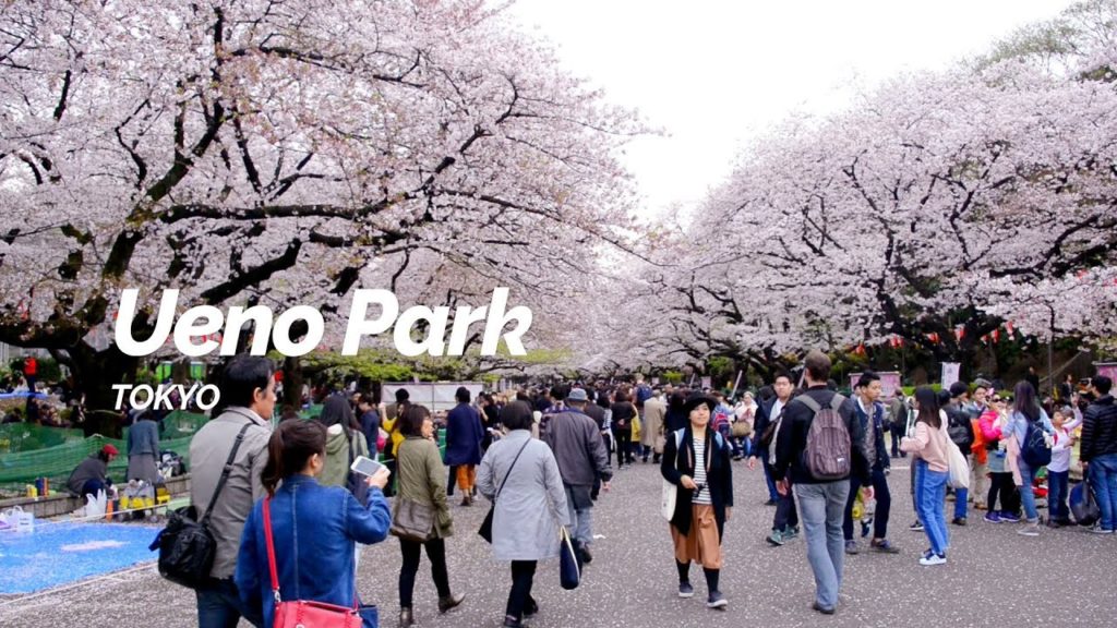 Ueno Park