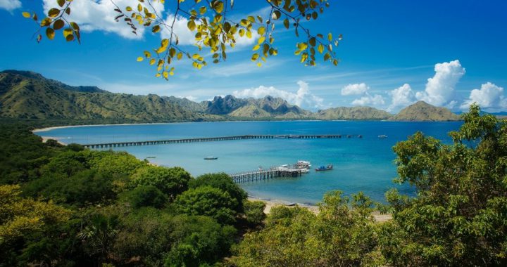 Tempat Wisata Labuan Bajo Pesona Alam dan Lumba-Lumba di Pulau Sabolon