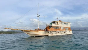 zada-mega-vessel-scaled-1920x1080