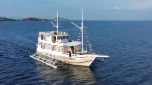 zen-cruise-1920x1080