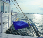 Screenshot at Jan 02 13-18-06