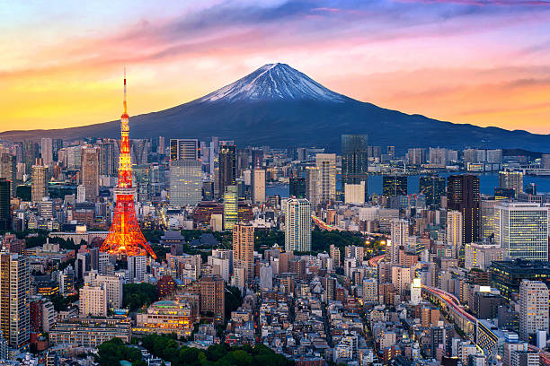 Aerial view of Tokyo cityscape with Fuji mountain in Japan.